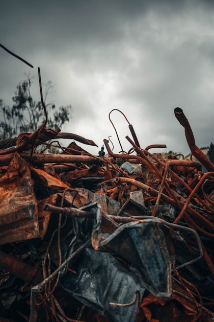 Choosing a Junk Removal Company